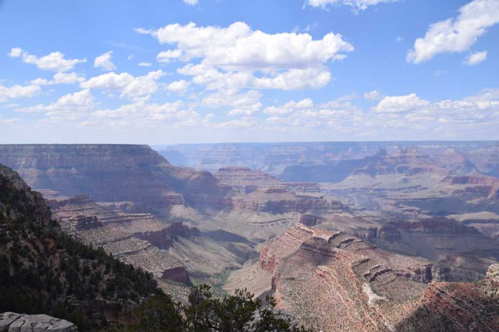 DSC_0182Mittel_.JPG